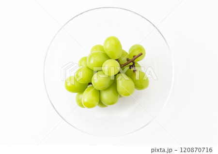 白背景にシャインマスカット 120870716