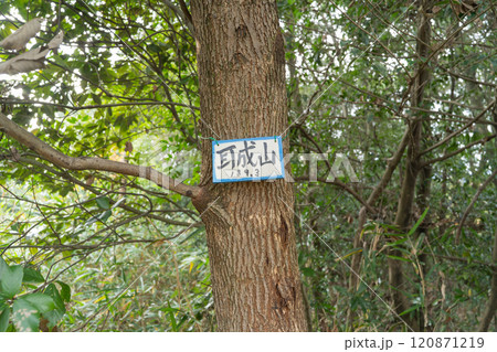 耳成山の山頂（大和三山） 120871219