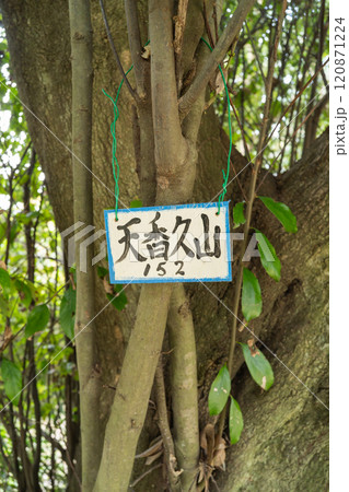 香具山の山頂（大和三山） 120871224