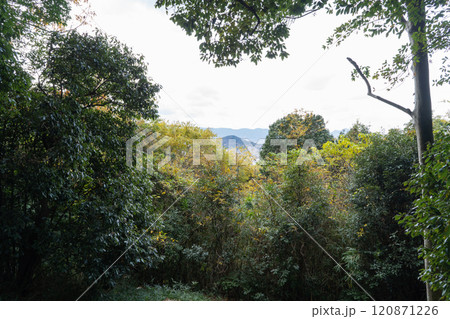 香具山の山頂から見た景色(大和三山) 香具山の山頂から見た景色(大和三山) 120871226