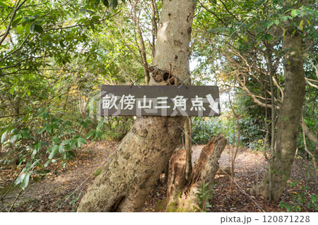 畝傍山の山頂（大和三山） 120871228