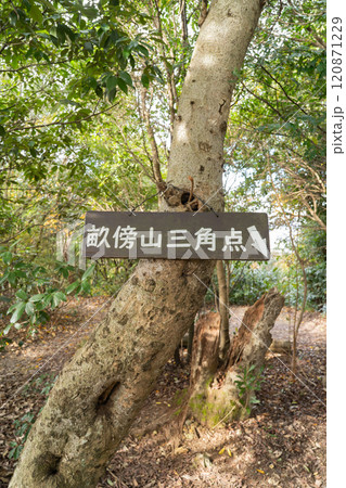 畝傍山の山頂（大和三山） 120871229