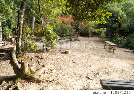 畝傍山の山頂広場（大和三山） 120871230