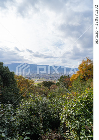 畝傍山の山頂から見た景色（大和三山） 120871232