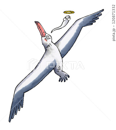 死んだペラゴルニス・サンデルシ 死んだペラゴルニス・サンデルシ 120871332