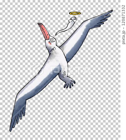 死んだペラゴルニス・サンデルシ 死んだペラゴルニス・サンデルシ 120871332