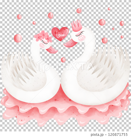 Hand drawn eternal couple swan for the festival of love. 120871755