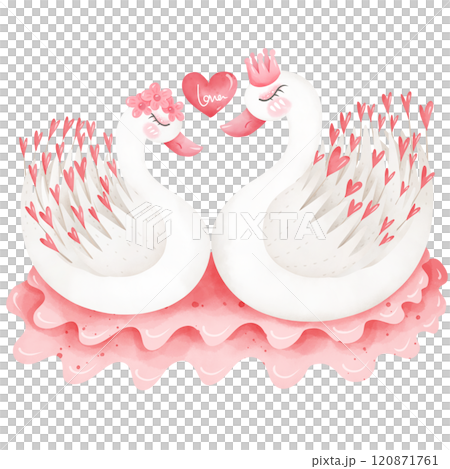 Hand drawn eternal couple swan for the festival of love. 120871761