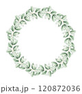 Green eucalyptus leaves round frame. Watercolor hand drawn illustration isolated on white background. Elegant botanical wreath with copy space for text. Wedding invitation, birthday cards, templates 120872036