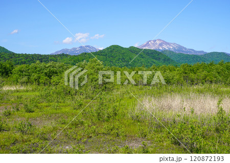 望郷広場から見る旭岳（大雪山系） 120872193