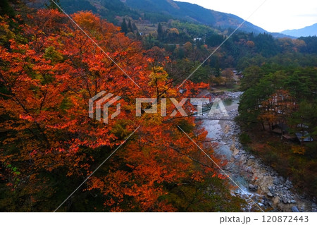 付知峡の紅葉 120872443