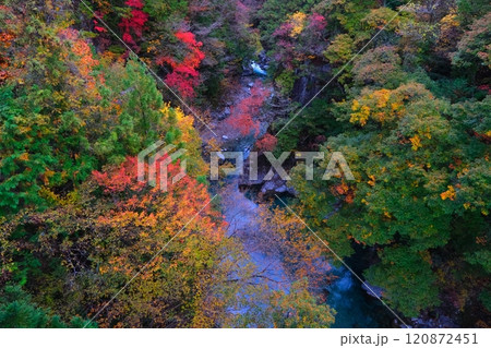 付知峡の紅葉 120872451