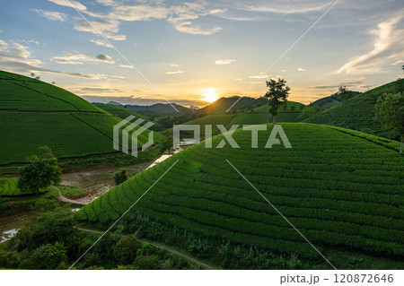 Aerial view of beatiful sunset at Long Coc tea hill, Phu Tho province, Vietnam 120872646