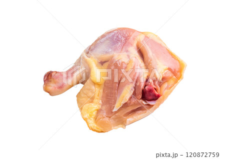 A fresh, raw chicken leg from an eco farm, ready to be cooked into a delicious meal, isolated on white background 120872759