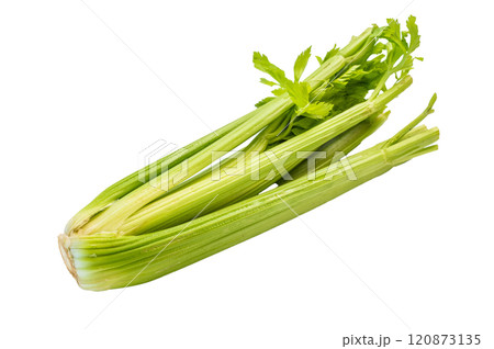 Fresh uncooked organic celery isolated on white background, top view Fresh uncooked organic celery isolated on white background, top view 120873135