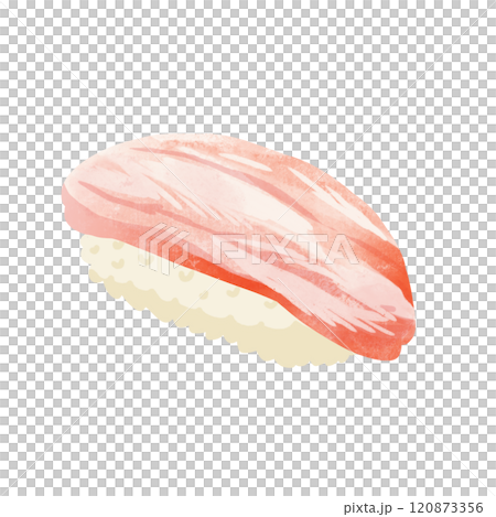 Snow crab sushi, watercolor style hand-drawn illustration 120873356