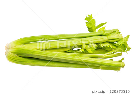 Fresh uncooked organic celery isolated on white background, top view 120873510