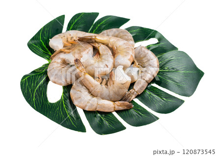 Raw headless white shrimps prawns isolated on white background. Raw headless white shrimps prawns isolated on white background. 120873545