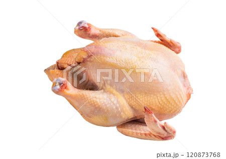 Raw eco farm chicken carcass on the cutting board isolated on white background Raw eco farm chicken carcass on the cutting board isolated on white background 120873768