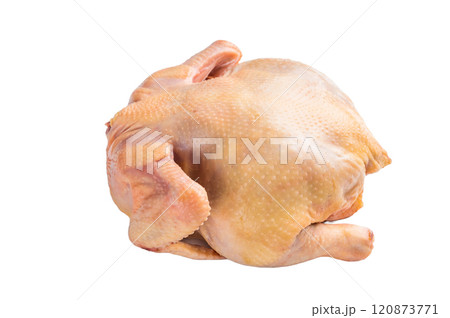 Raw eco farm chicken carcass on the cutting board isolated on white background Raw eco farm chicken carcass on the cutting board isolated on white background 120873771