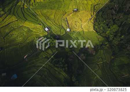 Green fields of agricultural land on a mountain in Thailand Green fields of agricultural land on a mountain in Thailand 120873825