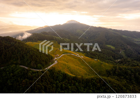 Flower Mountain and Pine Forest in the Morning Flower Mountain and Pine Forest in the Morning 120873833