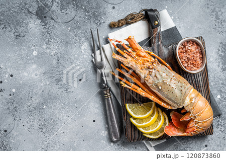 Cooked Spiny lobster or sea crayfish on a wooden board. Gray background. Top view. Copy space 120873860