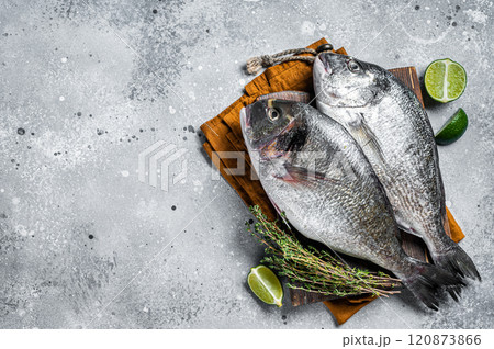 Raw fresh organic dorado or sea bream fish on wooden board with herbs and lime. Gray background. Top view. Copy space Raw fresh organic dorado or sea bream fish on wooden board with herbs and lime. Gray background. Top view. Copy space 120873866