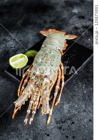 Raw Spiny lobster or sea crayfish on a marble board. Black background. Top view Raw Spiny lobster or sea crayfish on a marble board. Black background. Top view 120873891