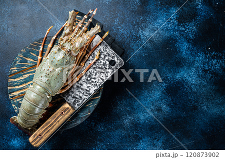 Spiny lobster on a wooden cutting board, raw seafood. Blue background. Top view. Copy space 120873902