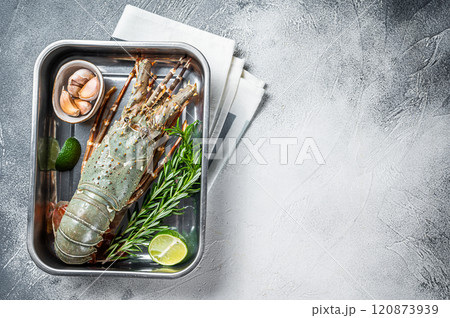 Fresh Raw Spiny lobster or sea crayfish ready for cooking. White background. Top view. Copy space 120873939