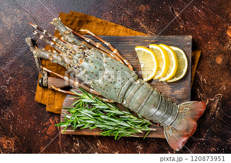 Fresh Spiny lobster on a wooden cutting board with herbs for cooking, raw seafood. Dark background. Top view 120873951