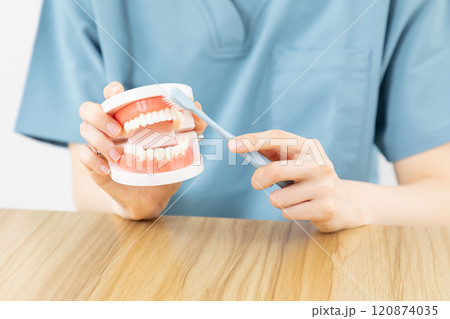 ブラッシング指導をする歯科医イメージ01 120874035