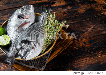 Fresh raw sea bream dorado fish with herbs. Black background. Top view. Copy space Fresh raw sea bream dorado fish with herbs. Black background. Top view. Copy space 120874654