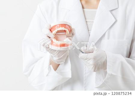 ブラッシング指導をする歯科医イメージ03 ブラッシング指導をする歯科医イメージ03 120875234