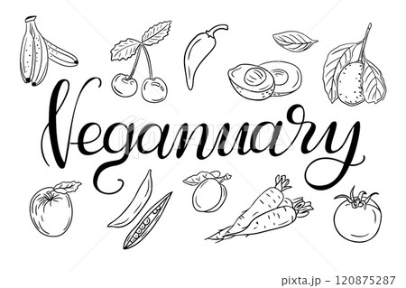 Elegant Veganuary calligraphy with line art plants Elegant Veganuary calligraphy with line art plants 120875287