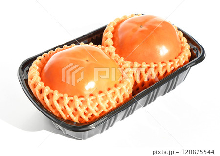 柿(陽豊柿) 柿(陽豊柿) 120875544