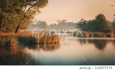 A calm lake with a few trees in the background 120875774