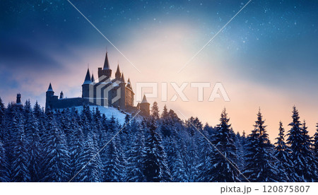 A castle is in the background of a snowy forest 120875807