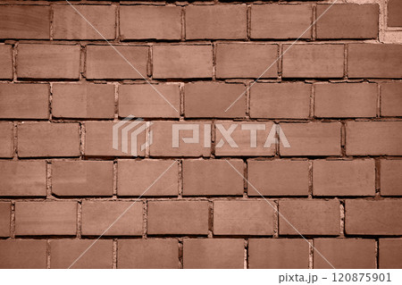 brown mocha color of 2025 year 120875901