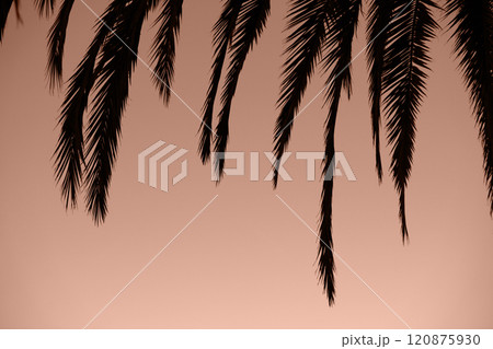 brown mocha color of 2025 year brown mocha color of 2025 year 120875930