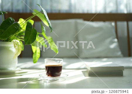 Coffee glass cup on white table philodendron  plant interior view, minimal home 120875941