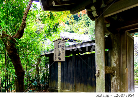 【神奈川】晩秋の鎌倉円覚寺　黄梅院山門横の百観音霊場の立札 120875954