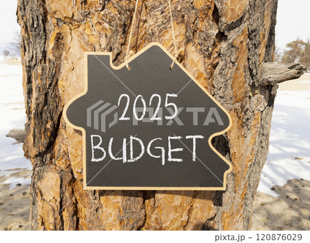 Planning 2025 budget new year symbol. Concept words 2025 Budget on beautiful yellow chalk blackboard. Beautiful old tree and sand background. Business 2025 budget new year concept. Copy space. 120876029