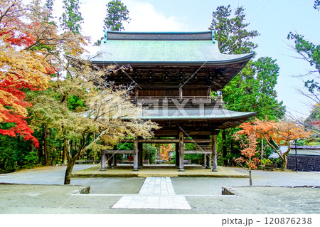 【神奈川】晩秋の鎌倉　仏殿から望む円覚寺三門（山門）と紅葉 120876238