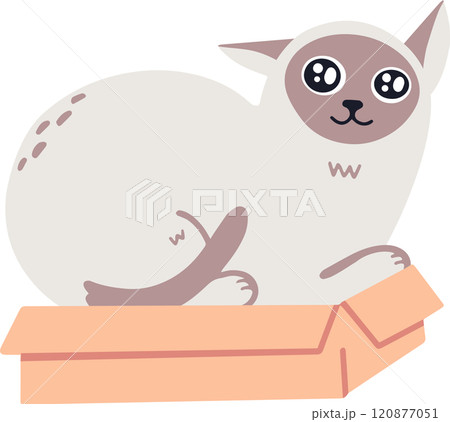 Adorable siamese cat lying on a cardboard box, enjoying a moment of relaxation and showing its playful nature, creating a heartwarming and funny scene 120877051