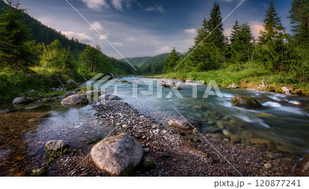 A river with a beautiful green forest in the background 120877241
