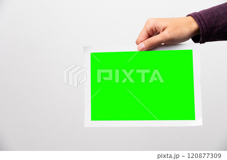 Paper photo in a woman's hand on a white background. Blank mockup green screen for inserting a photo 120877309