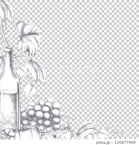 Square frame with a bottle of wine and a lying glass with grapes. Isolated pencil illustration in a realistic style for the design of postcards, bar card, juices, menu design. 120877409
