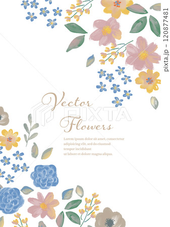 シックな手描き風 フラワーフレーム シックな手描き風 フラワーフレーム 120877481